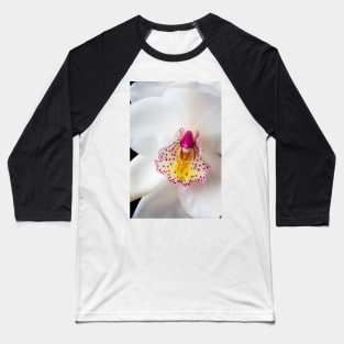 White Orchid Close up Baseball T-Shirt